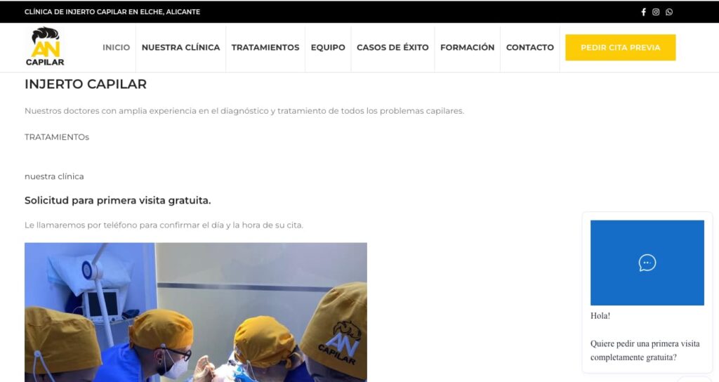 AN CAPILAR Elche pagina web